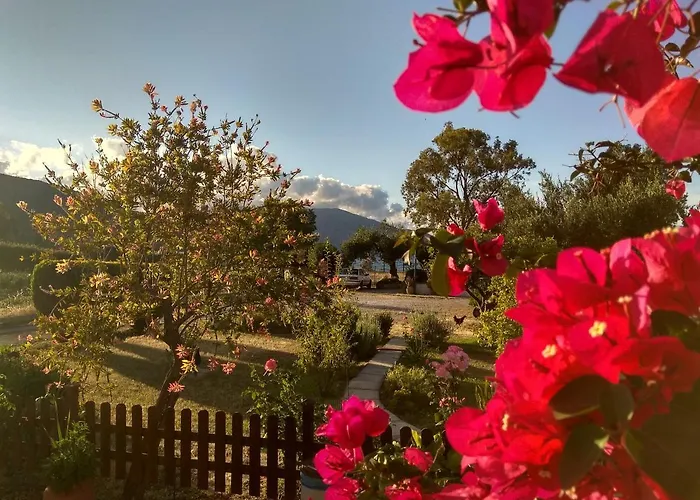 Lejlighed Katerina By The Sea